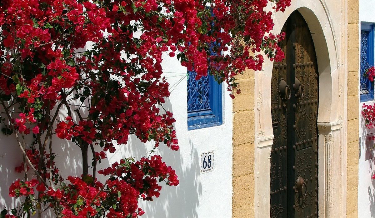 Découvrez Sidi Bou Said