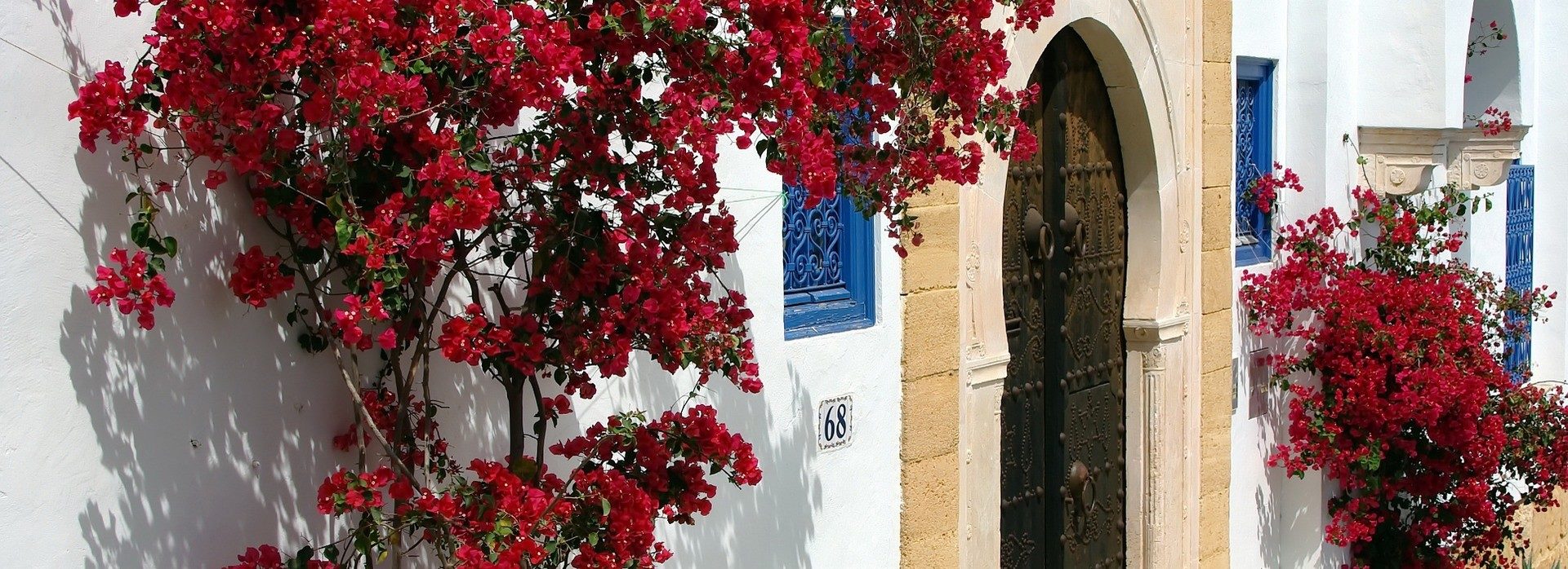 Découvrez Sidi Bou Said